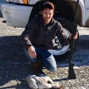 Meet your Posher, Jake